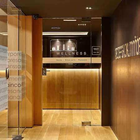 The Artist Grand Of Art